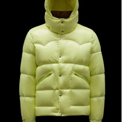 MONCLER Coutard
