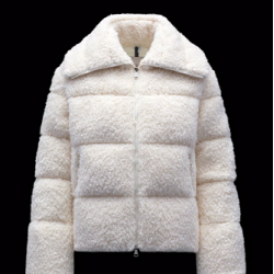 Moncler Barbot Short Down Jacket