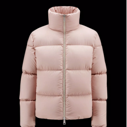 Moncler Anterne Short Down Jacket