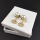 Dior Earring Dior Earring