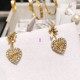 Dior Earring Dior Earring