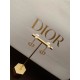 Dior Earring Dior Earring