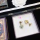 Dior Earring Dior Earring