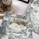 Dior Earring Dior Earring