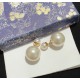 Dior Earring Dior Earring