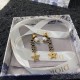 Dior Earring Dior Earring