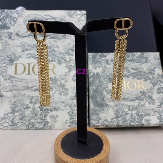 Dior Earring Dior Earring
