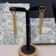 Dior Earring Dior Earring