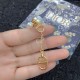 Dior Earring Dior Earring