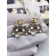 Dior Earring Dior Earring