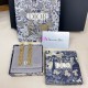 Dior Earring Dior Earring