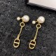 Dior Earring Dior Earring