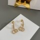 Dior Earring Dior Earring
