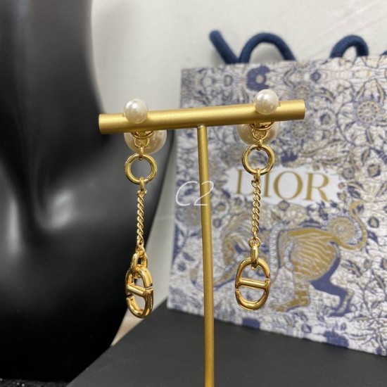 Dior Earring Dior Earring