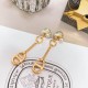 Dior Earring Dior Earring