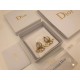 Dior Earring Dior Earring
