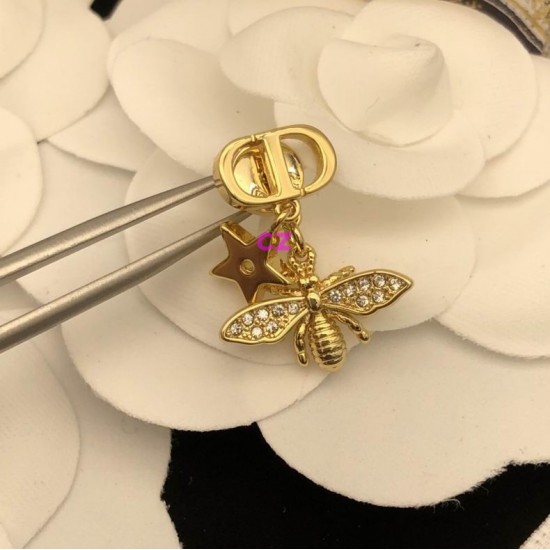 Dior Earring Dior Earring