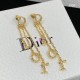 Dior Earring Dior Earring