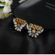 Dior Earring Dior Earring