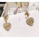 Dior Earring Dior Earring