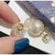 Dior Earring Dior Earring