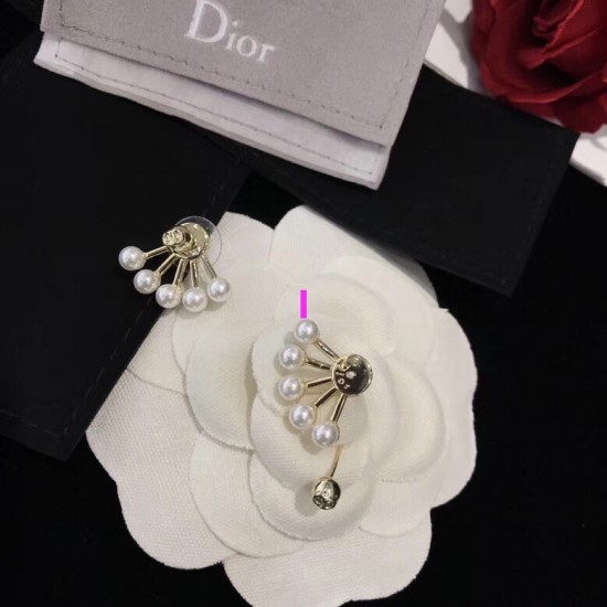 Dior Earring Dior Earring