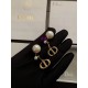 Dior Earring Dior Earring