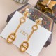 Dior Earring Dior Earring
