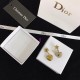 Dior Earring Dior Earring