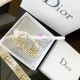 Dior Earring Dior Earring