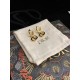 Dior Earring Dior Earring