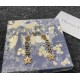 Dior Earring Dior Earring