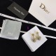 Dior Earring Dior Earring