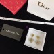 Dior Earring Dior Earring