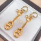 Dior Earring Dior Earring