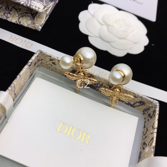 Dior Earring Dior Earring