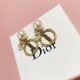 Dior Earring Dior Earring