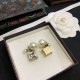Dior Earring Dior Earring