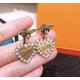 Dior Earring Dior Earring