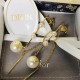 Dior Earring Dior Earring