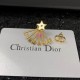 Dior Earring Dior Earring