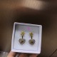 Dior Earring Dior Earring