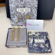 Dior Earring Dior Earring