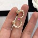 Dior Earring Dior Earring
