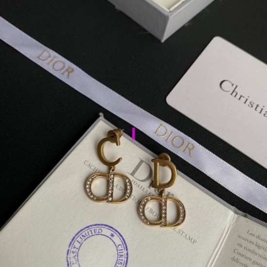 Dior Earring Dior Earring