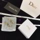 Dior Earring Dior Earring