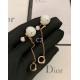 Dior Earring Dior Earring