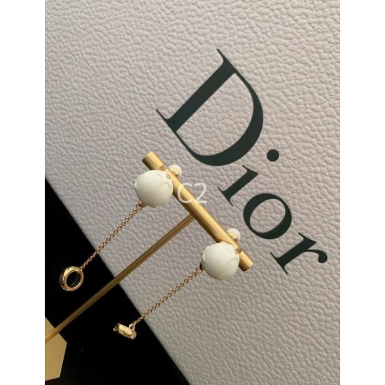 Dior Earring Dior Earring