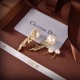 Dior Earring Dior Earring