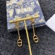 Dior Earring Dior Earring